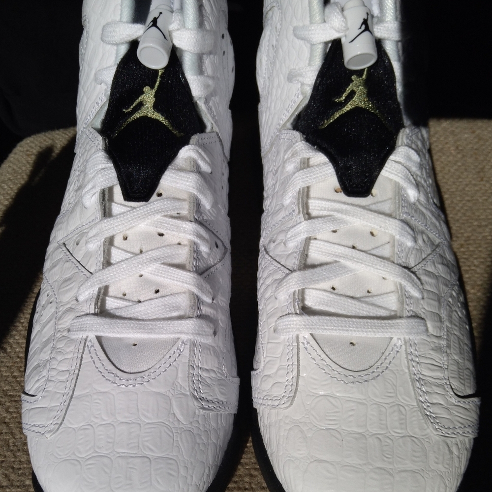 Air Jordan 6 Retro Alligator